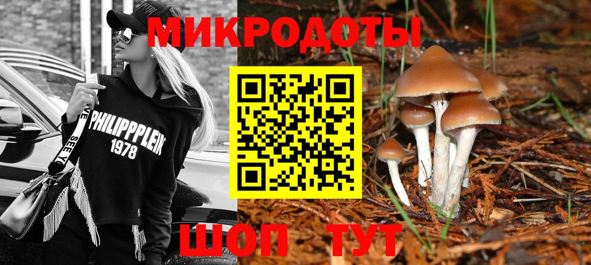 Псилоцибиновые грибы прущие грибы  Вход с VPN  Чехов 