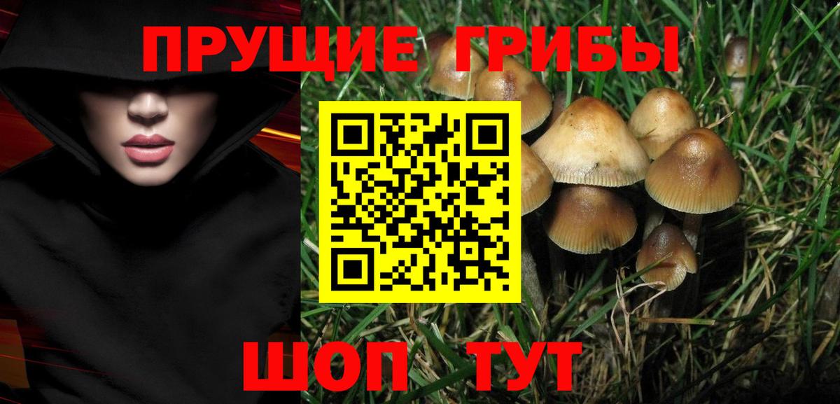 Псилоцибиновые грибы прущие грибы Чехов